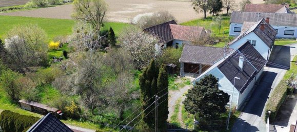 2 rooms House in Gerersdorf-Sulz, Austria No. 187761 19