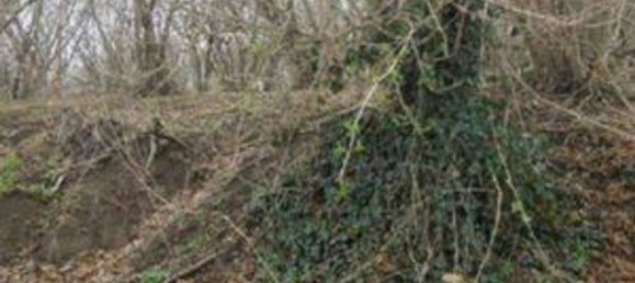 2 rooms Apartment in Avellino, Italy No. 306801 14