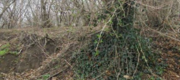 2 rooms Apartment in Avellino, Italy No. 306801 18