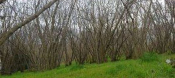 2 rooms Apartment in Avellino, Italy No. 306801 10