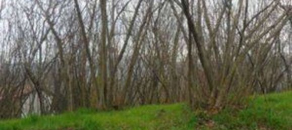 2 rooms Apartment in Avellino, Italy No. 306801 12