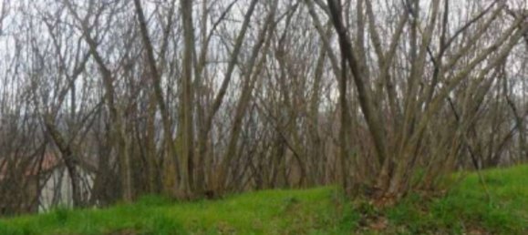 2 rooms Apartment in Avellino, Italy No. 306801 5