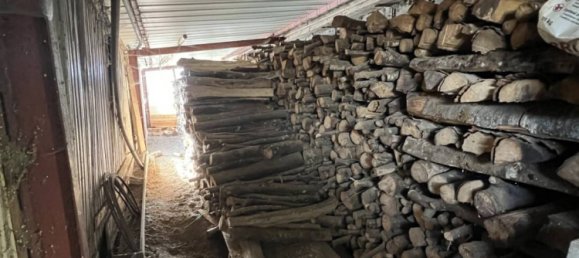 5 bedrooms Villa in Choiseul, France No. 261711 27