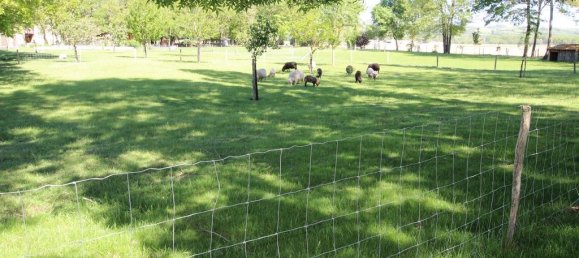 7 bedrooms Castles in Pamiers, France No. 360853 12