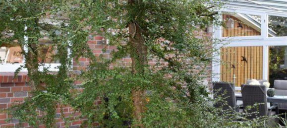 Edifício de 5 divisões em Cuxhaven, Germany N.º 315834 30