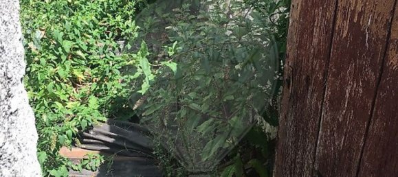 3 bedrooms House in Guimaraes, Portugal No. 180501 9