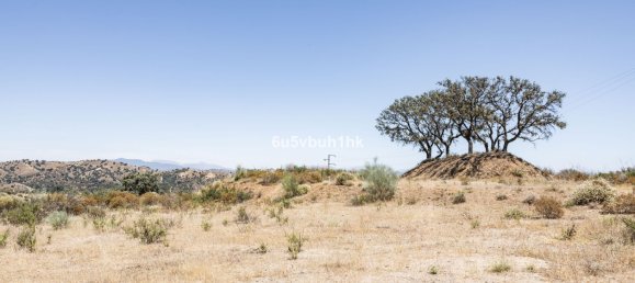 Land in Coin, Spain No. 152072 6