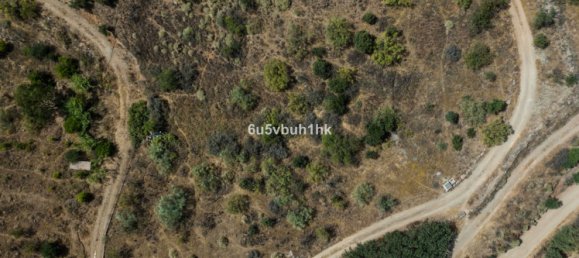 Land in Coin, Spain No. 152072 11