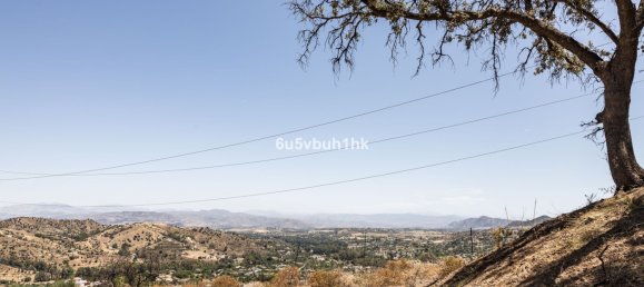 Land in Coin, Spain No. 152072 2