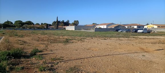779m² Land in Ginestas, France No. 104591 6