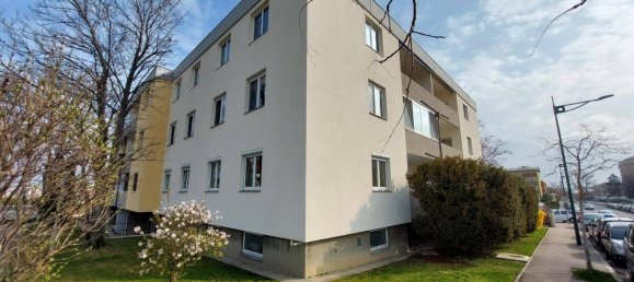 3 bedrooms Apartment in Modling, Austria No. 184164 15