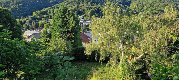 6غرفة منزل في Klosterneuburg, Austria رقم 258830 22