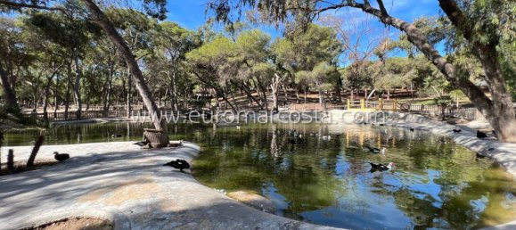 Casa T4 em Guardamar del Segura, Spain N.º 28917 47