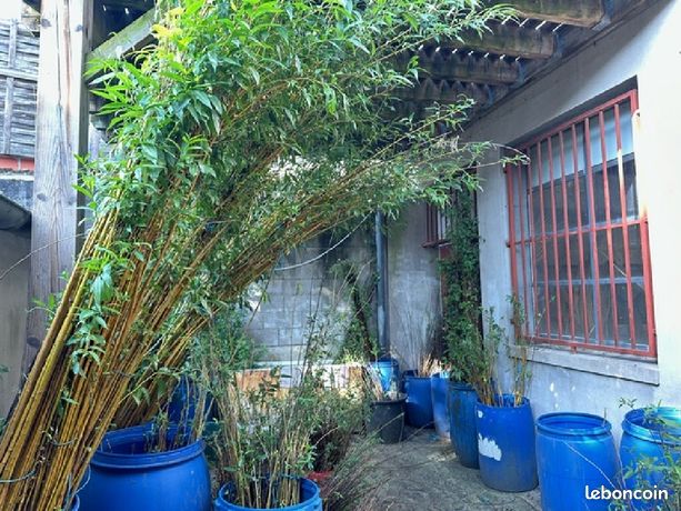 Apartamento T4 em Graulhet, France N.º 300680