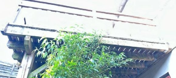 Apartamento T4 em Graulhet, France N.º 300680 3