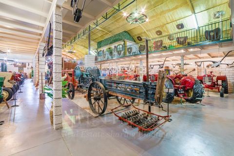  Land in Montemor o Novo, Portugal No. 311327