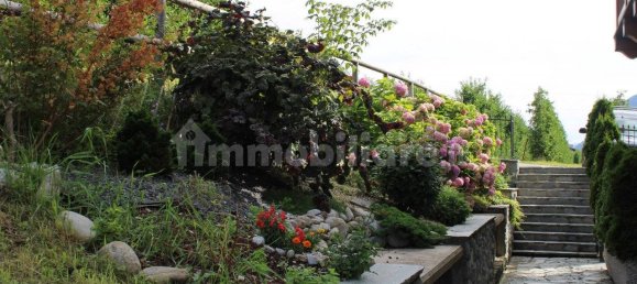 3 chambres Appartement à Terzolas, Italy No. 122391 21