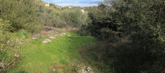 4000m² Hotel in Corfu, Greece No. 5175 2