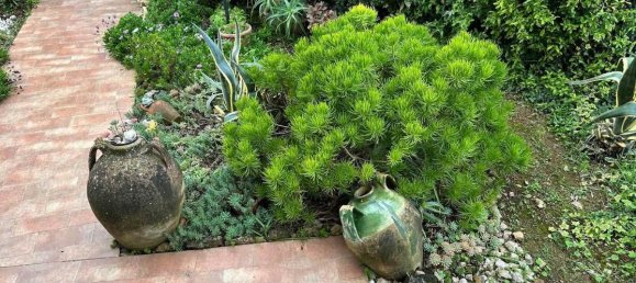 Дом с 4 спальнями в Масса Мариттима, Италия № 1581 9