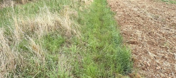 Terreno en Euskirchen, Germany 7528 m² No. 275879 3