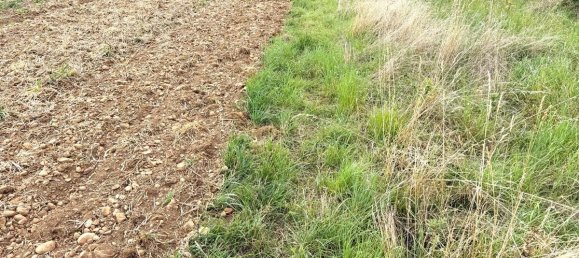 Terreno en Euskirchen, Germany 7528 m² No. 275879 4