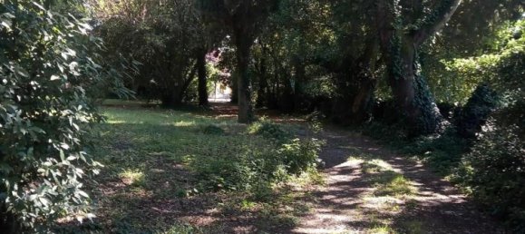 12 rooms House in San Giuliano Terme, Italy No. 205571 4