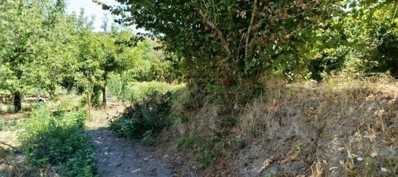 Grundstück in Montoro, Italy 9100m², Nr. 274137 10