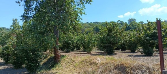 Grundstück in Montoro, Italy 9100m², Nr. 274137 6