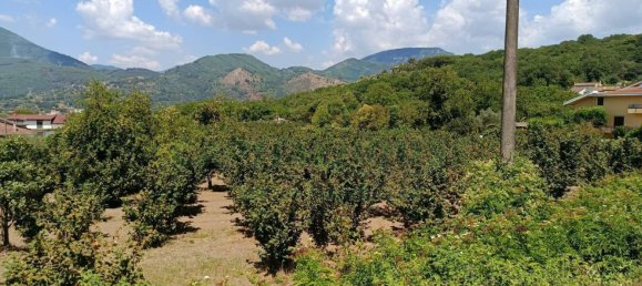 Grundstück in Montoro, Italy 9100m², Nr. 274137 2