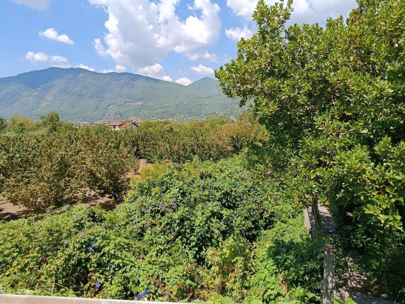 Grundstück in Montoro, Italy 9100m², Nr. 274137