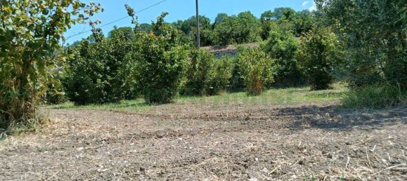 Grundstück in Montoro, Italy 9100m², Nr. 274137 3