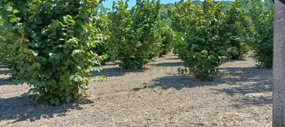 Grundstück in Montoro, Italy 9100m², Nr. 274137 4