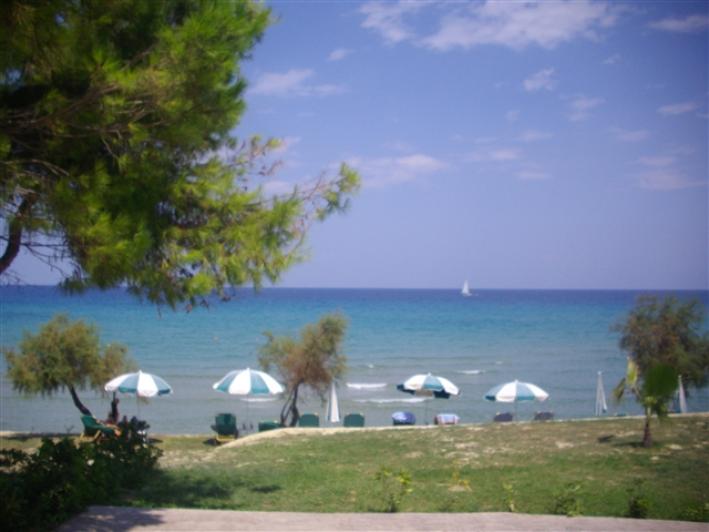  Hotel in Zakynthos, Greece No. 856