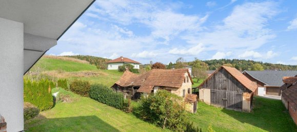 8-Zimmer Haus in Sinabelkirchen, Austria, Nr. 149972 28