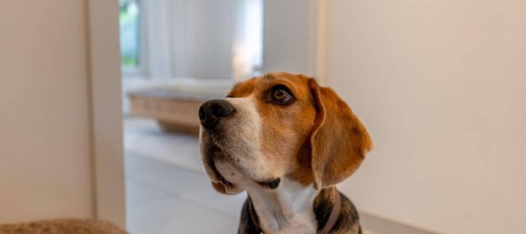 3 Schlafzimmer Wohnung in Salzburg, Austria, Nr. 156901 9