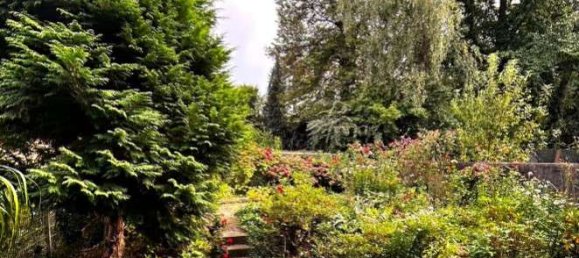 2غرفة شقة في Essen, Germany رقم 40604 14