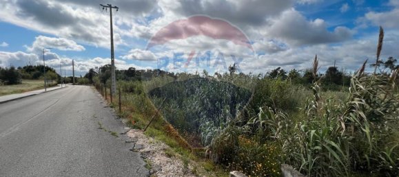 1 chambre Maison à Condeixa a Nova, Portugal No. 66046 7