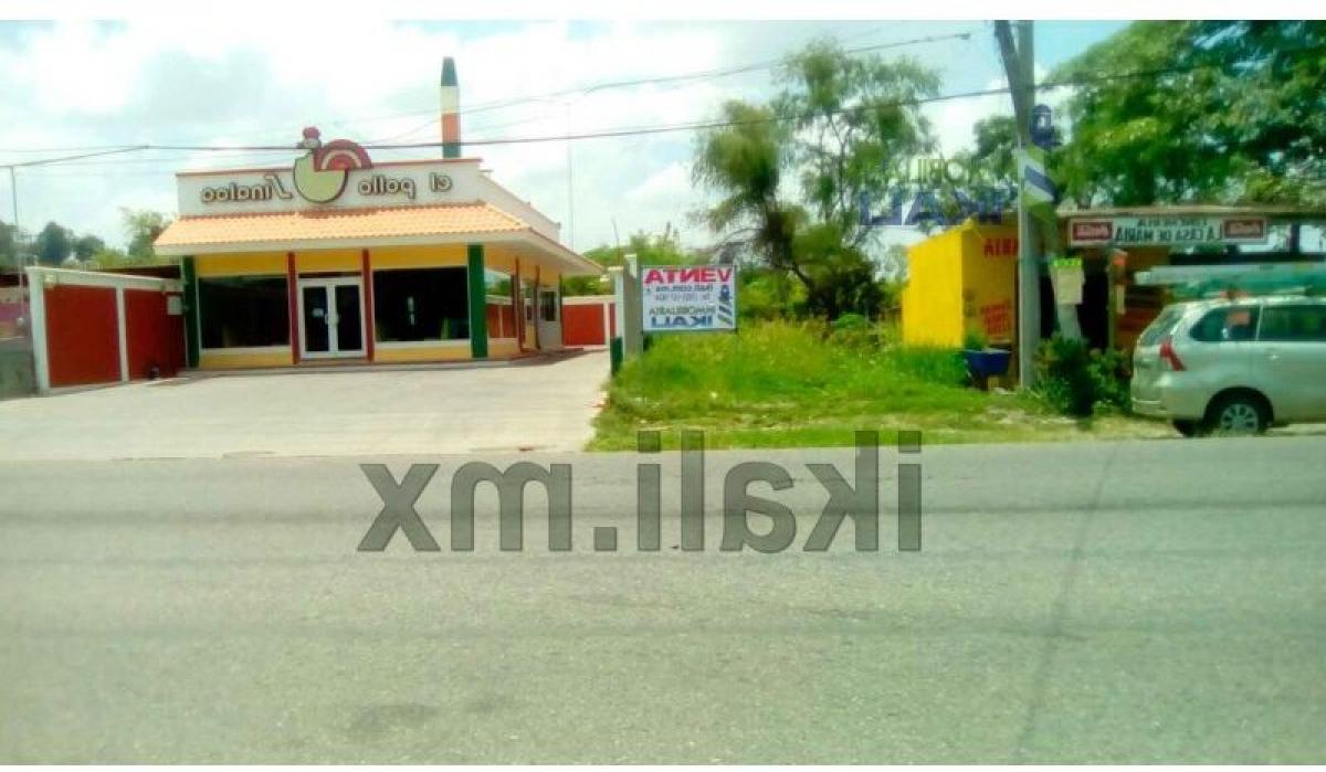  Land in Veracruz, Mexico No. 205575