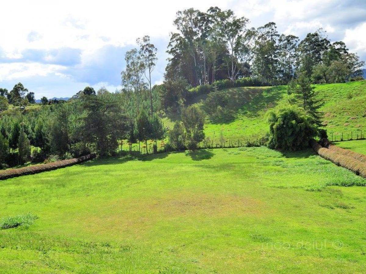 Terreno en Antioquia, Colombia No. 355