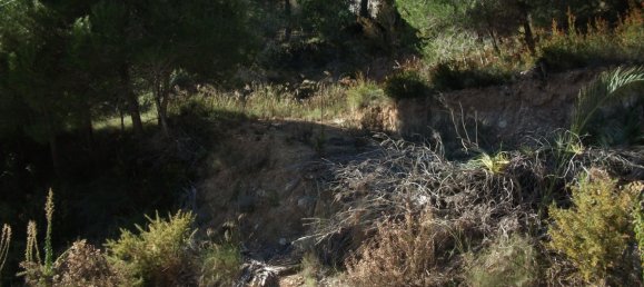 Terreno em Altea, Spain N.º 12003 4