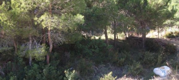 Terreno em Altea, Spain N.º 12003 2