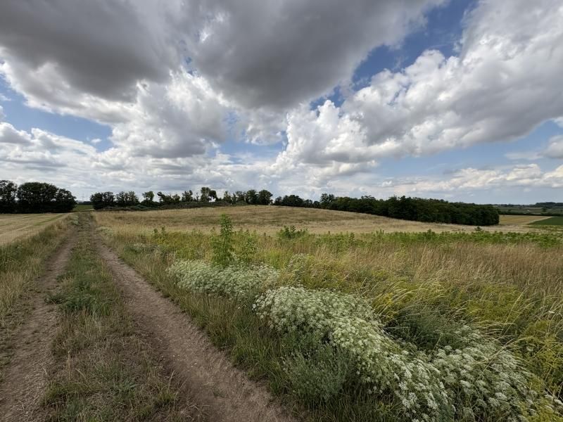 Terreno en Ringelsdorf-Niederabsdorf, Austria No. 131889