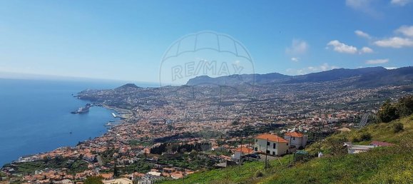 Grundstück in Funchal, Portugal 2920m², Nr. 142055 14