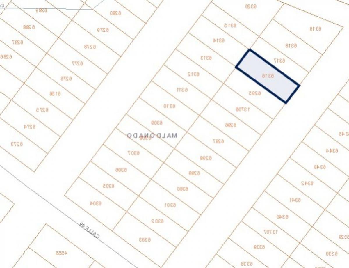 Земельный участок в Мальдонадо, Уругвай № 14245