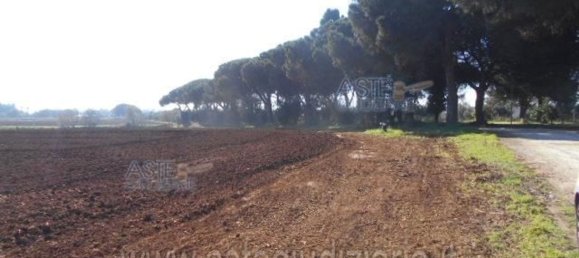 Terreno em Latina, Italy 107380 m² N.º 46856 7