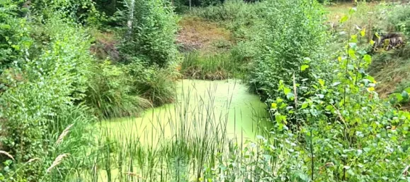 Grundstück in Ostprignitz-Ruppin, Germany, Nr. 284707 3