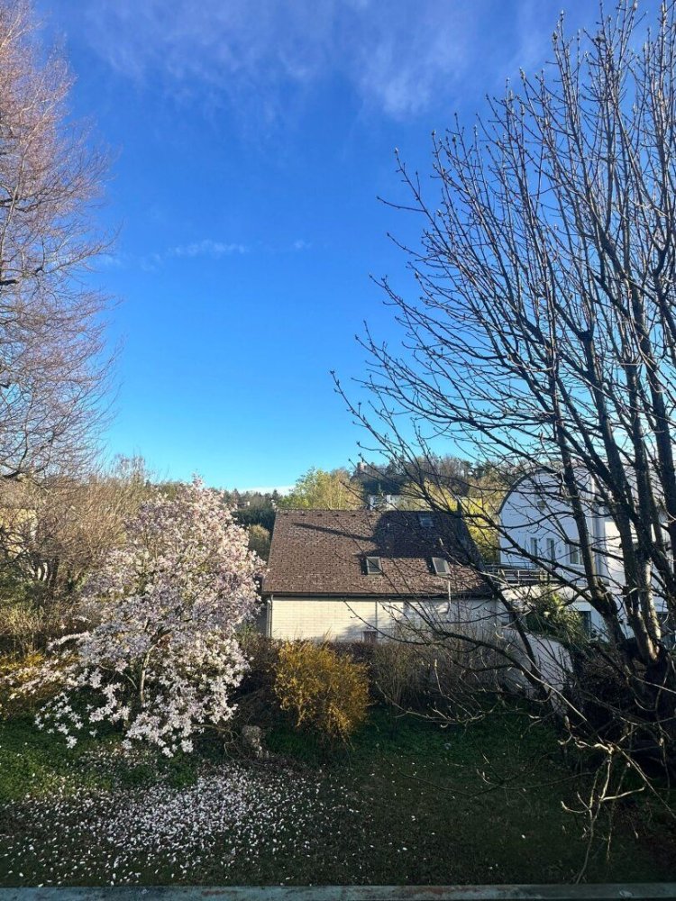  Land in Wels, Austria No. 126355