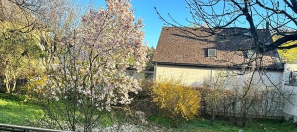  Land in Wels, Austria No. 126355 10