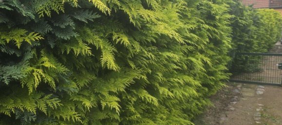 4غرفة تاون هاوس في Gustrow, Germany رقم 364857 4