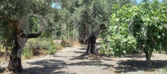 2-Zimmer Haus in Catanzaro, Italy, Nr. 291316 9